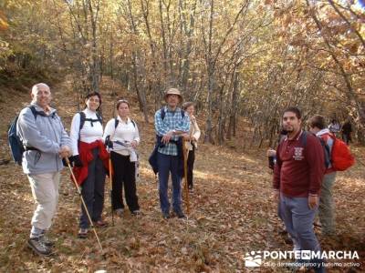 Monte La Umbría - Excursiones desde Madrid; senderismo en madrid